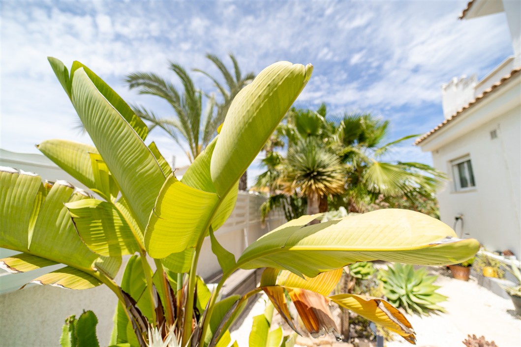 VILLA INDEPENDIENTE ESPECTACULAR