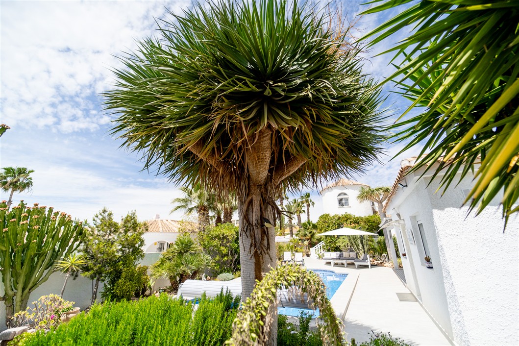 VILLA INDEPENDIENTE ESPECTACULAR