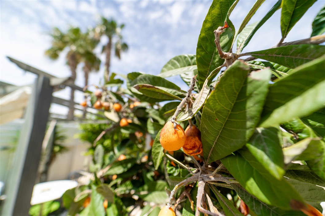 VILLA INDEPENDIENTE ESPECTACULAR