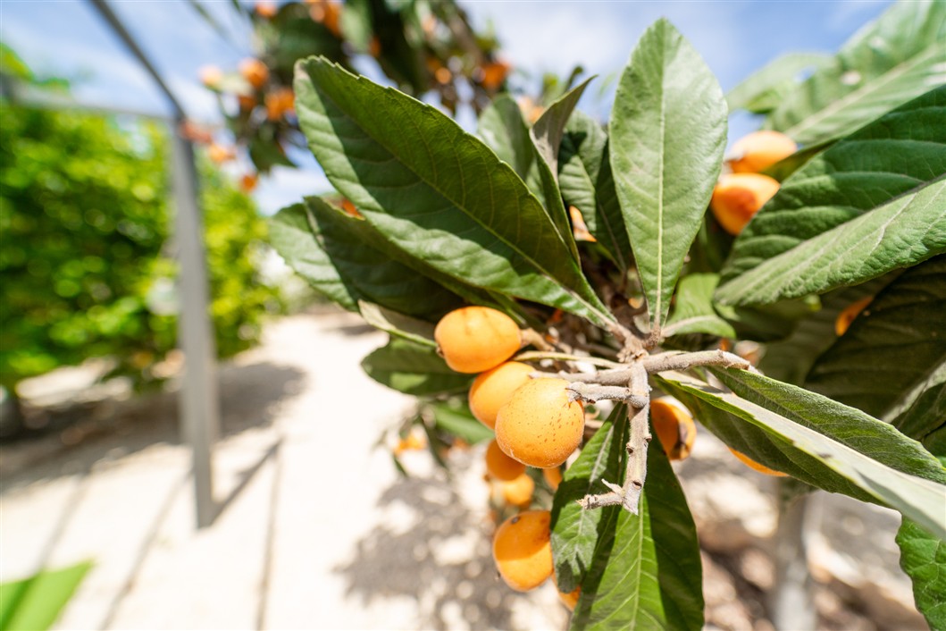 VILLA INDEPENDIENTE ESPECTACULAR