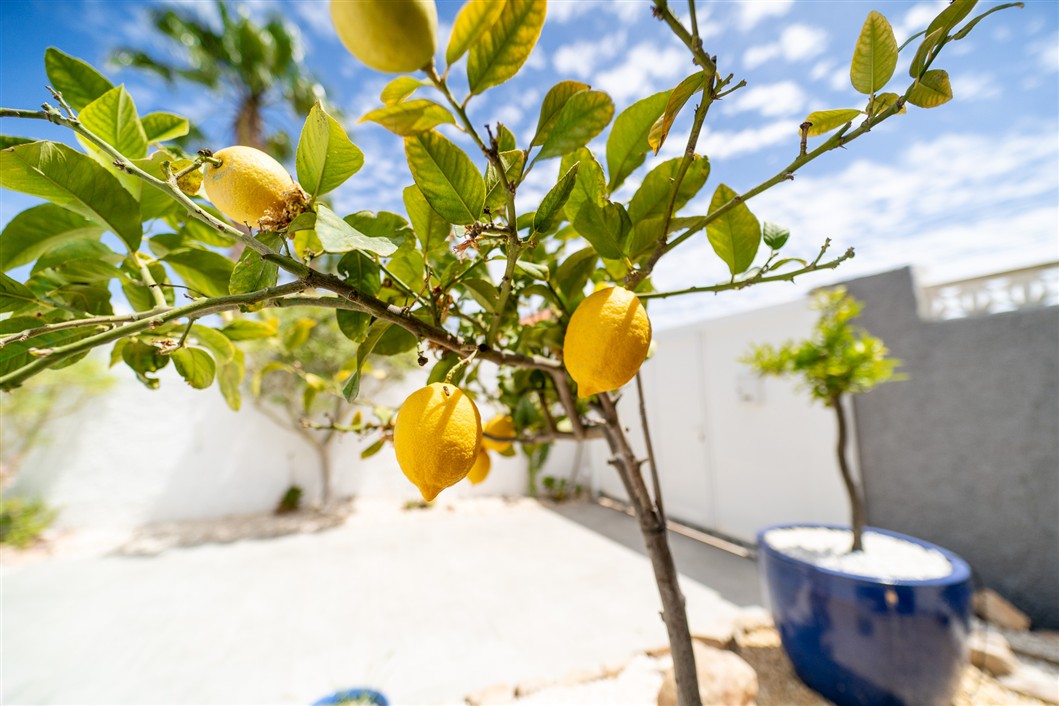 VILLA INDEPENDIENTE ESPECTACULAR