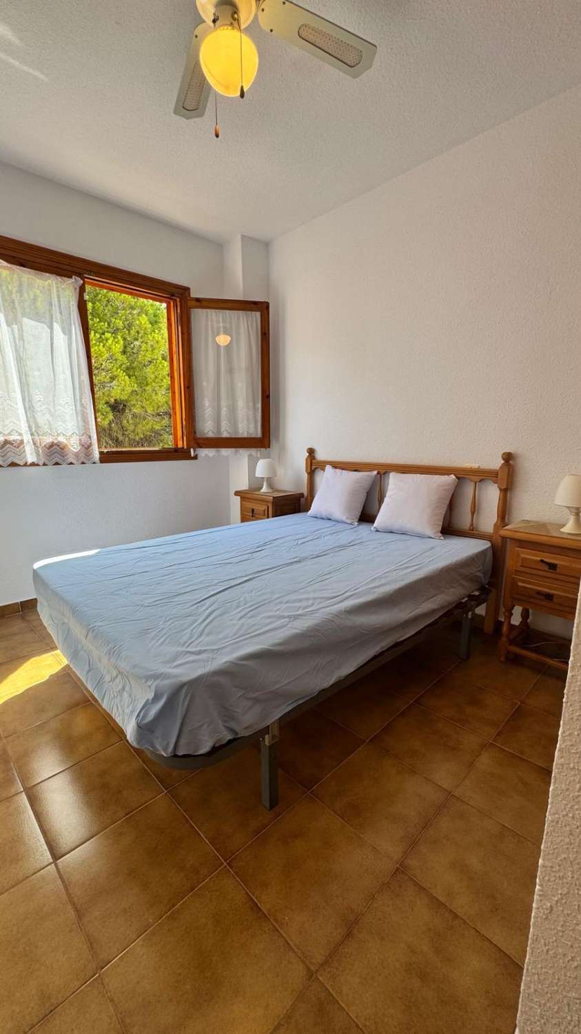Bungalow 100 m vom Flamenco-Strand entfernt