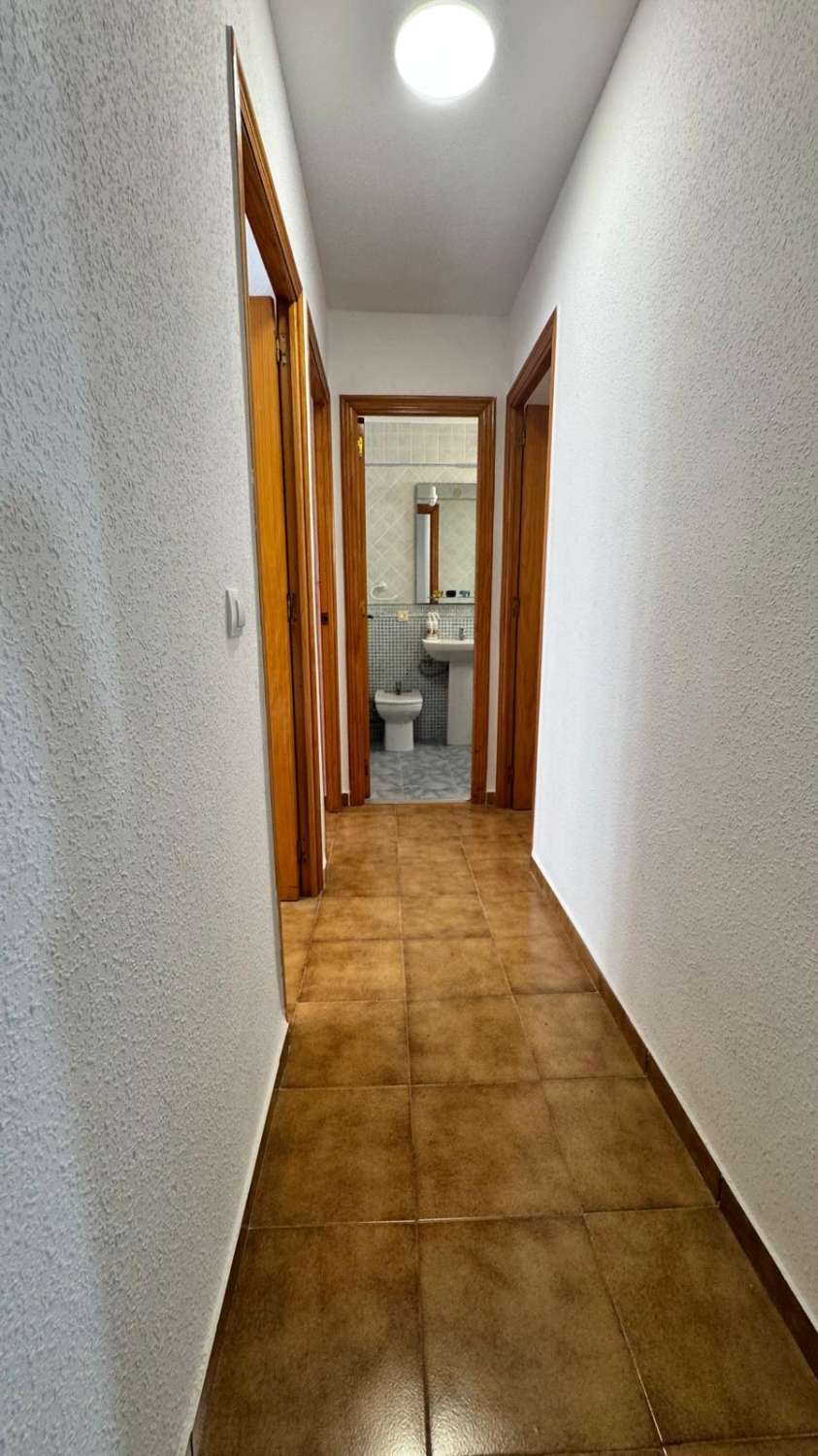 Bungalow 100 m vom Flamenco-Strand entfernt