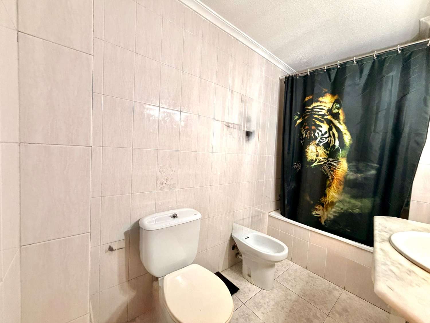 APARTAMENTO CERCA DEL PASEO DEL MAR