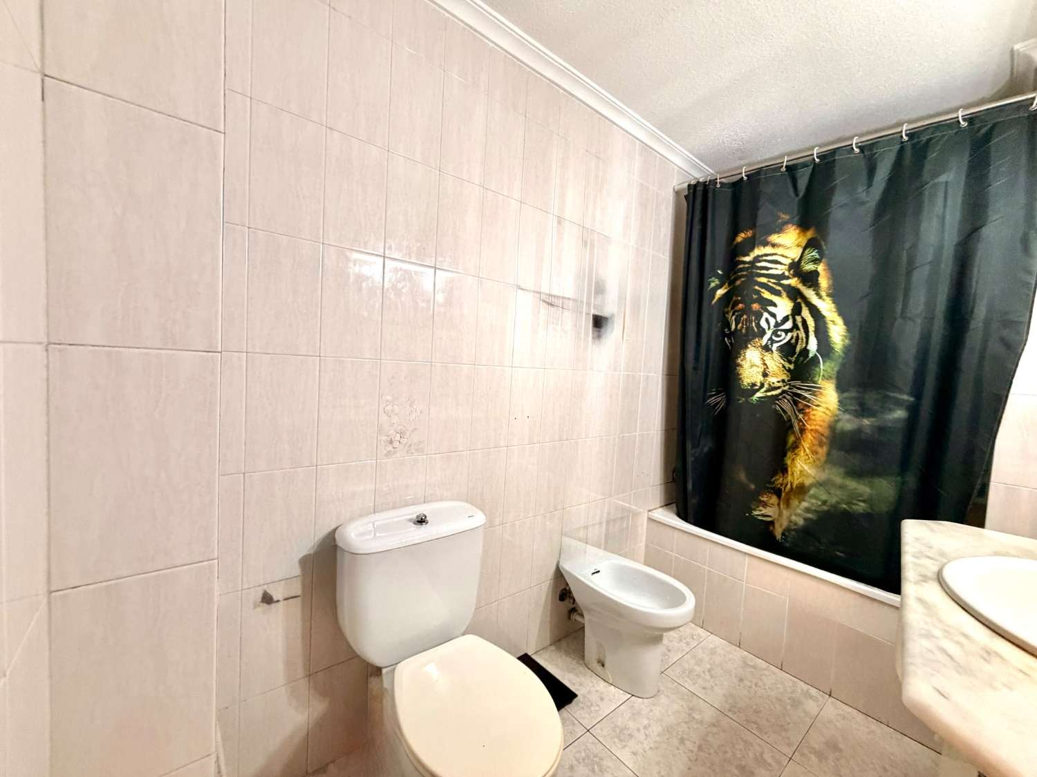 APARTAMENTO CENTRO DE TORREVIEJA