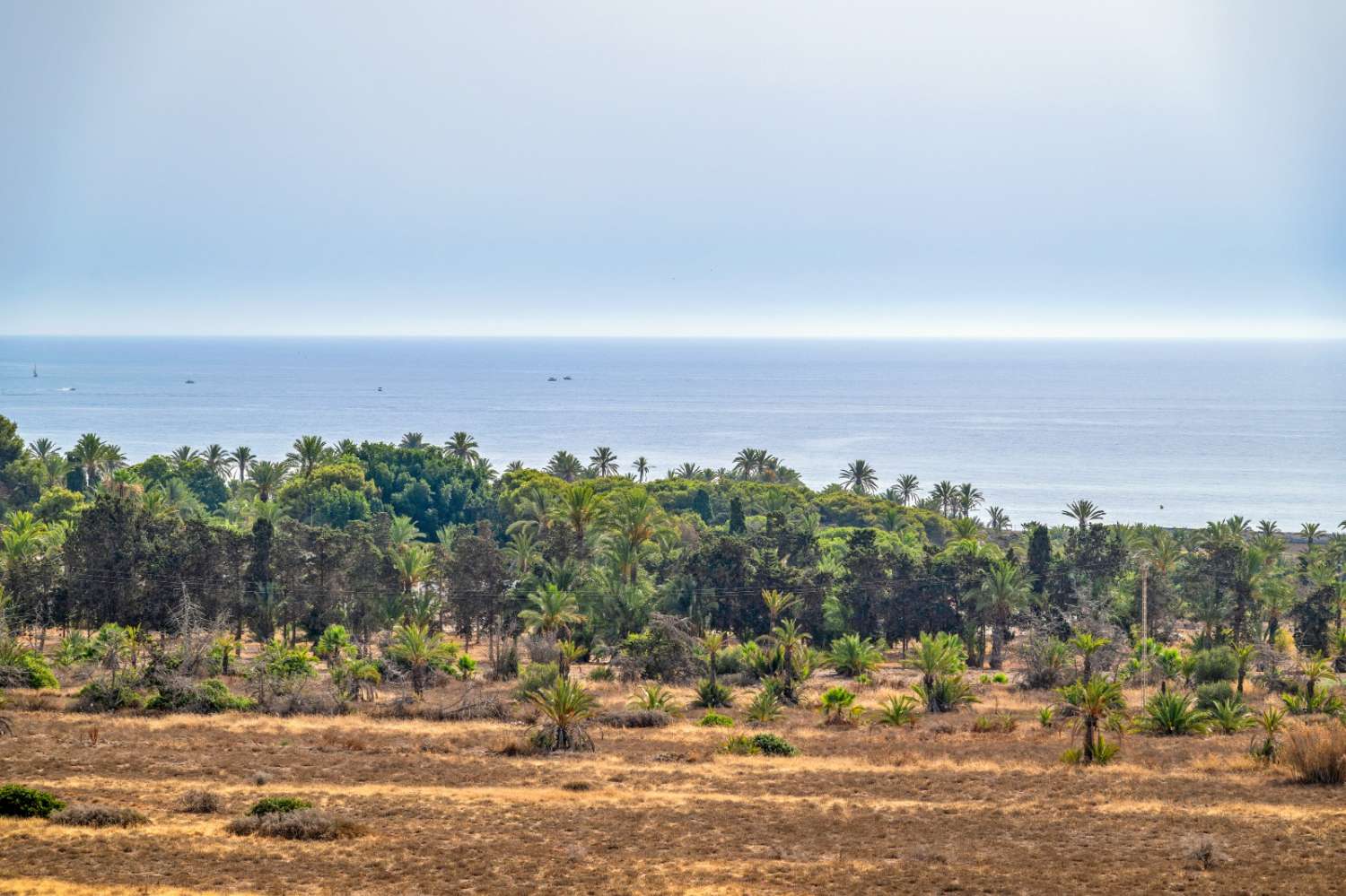 APARTAMENTO CON VISTAS AL MAR