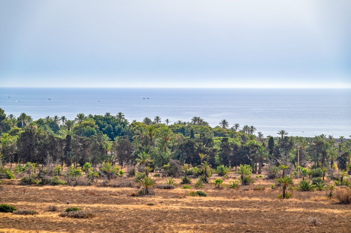 APARTAMENTO CON VISTAS AL MAR